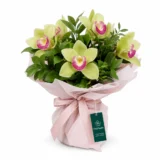 Buchet cu Orhidee Verzi – imaginea 1